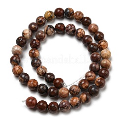 Fili di perline di gemstone naturale&nbsp;G-R494-A22-03