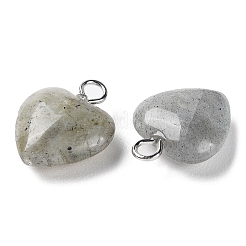 Природные подвески лабрадорита&nbsp;G-E603-01P-08