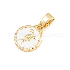 Breloques en laiton&nbsp;KK-E798-01B-G