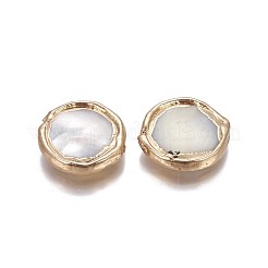 Бусины из ракушек&nbsp;BSHE-F006-10G