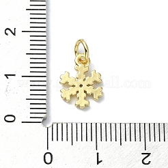 Messing micro pave klar zirkonia charme&nbsp;LS-KK-H475-55G-01