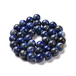 Natürlicher Lapislazuli Perlenstränge&nbsp;G-E483-17-10mm