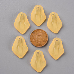 Прозрачные матовые акриловые подвески&nbsp;MACR-S371-03A-719