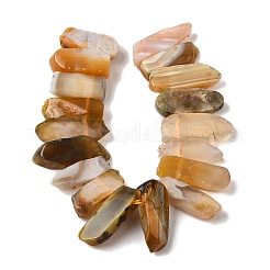 Природные Ботсвана агат бисер нитей&nbsp;G-S386-D02