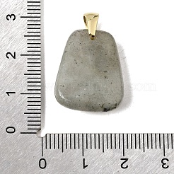 Natur Labradorit Anhänger&nbsp;G-C282-03F