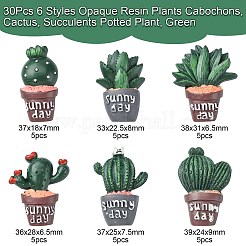 30 шт.&nbsp;CRES-CJ0001-55