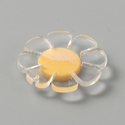 Transparente Harzanhänger&nbsp;LS-RESI-WH0029-46B-09