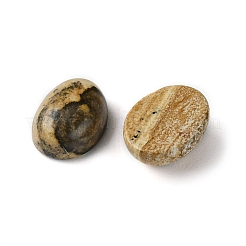 Natur Bildjaspisses cabochons&nbsp;G-A094-01B-48
