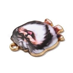 Подвески из сплава &nbsp;PALLOY-E028-01LG-02