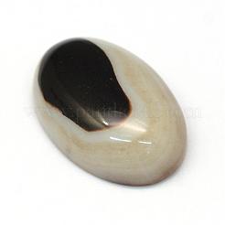 Овальные окрашенные природные полосатые агатовые / полосатые агатовые кабошоны G-R349-20x30-01