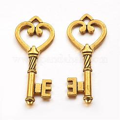 Pendente in lega stile tibetano&nbsp;GLF1312Y-NF