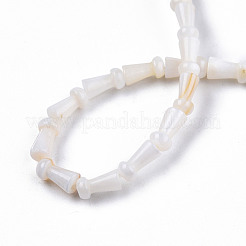 Нити бусин из натуральных пресноводных ракушек&nbsp;SHEL-N026-213-A01