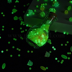 Наборы для самостоятельного изготовления бутылок желаний из светящихся акриловых бусин&nbsp;DIY-FS0007-58