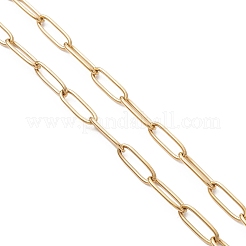 Цепочки-скрепки из нержавеющей стали 304 толщиной 4 мм с пружинными застежками&nbsp;NJEW-JN05708