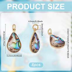 8 шт. подвески из натуральной ракушки пауа и эпоксидной смолы&nbsp;KK-UN0005-02