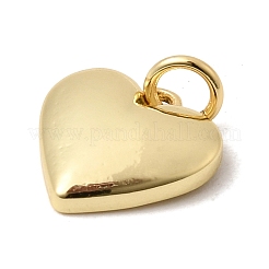 Messing Anhänger & Charms&nbsp;KK-H267-026B-G