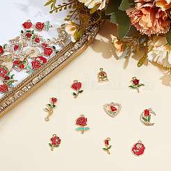 40шт 10 стиля подвески из сплава с эмалью&nbsp;ENAM-ME0001-59