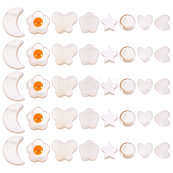 160шт 8 стиля натуральные пресноводные бусины из ракушек&nbsp;SHEL-TA0001-08