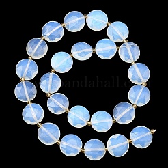 Opalite бисер пряди&nbsp;G-A292-A02-01