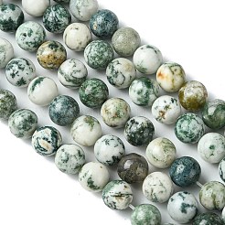 Натуральные древесные агатовые круглые бусины из драгоценных камней&nbsp;G-R255-10mm