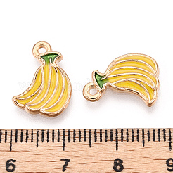 Legierung Emaille Anhänger / charms&nbsp;LS-ENAM-S121-087