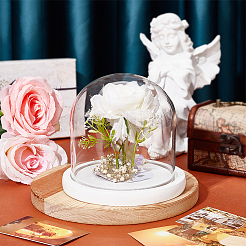 Стеклянный купол&nbsp;DIY-WH0430-621B