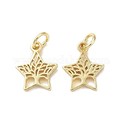 Rack Plating Brass Charms, with Jump Ring, Lead Free & Cadmium Free, Hollow, Star with Tree of Life Charm, Real 18K Gold Plated, 12.5x10.5x1.5mm, Hole: 3mm