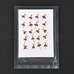 Blutblume Wolfsmilch gepresste Trockenblumen, für Handy, Fotorahmen, Scrapbooking DIY Handarbeit, Medium violett rot, 18~22x10~13 mm, 20 Stück / Beutel