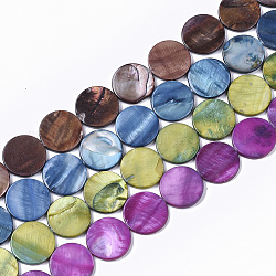 Chapelets de perles en coquille d'eau douce , teinte, plat rond, couleur mixte, 19.5~20.5x2.5~3.5mm, Trou: 1mm, Environ 20 pcs/chapelet, 15.63 pouce ~ 16.02 pouces