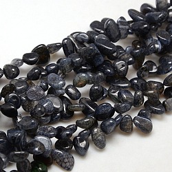 Pépites naturelles brins de perles d'agate craquelées, teints et chauffée, noir, 8~16x8~12x6~10mm, Trou: 1mm, Environ 59~60 pcs/chapelet, 15~16 pouce