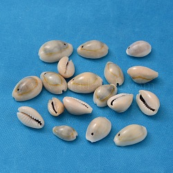Natural Cowrie Shell Pendants, Shell Shaped Charms, Seashell Color, 10~17x10~11x7~9mm, Hole: 2mm, about 500~550pcs/500g