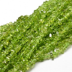Natürlichen Olivenquarz Chip-Perlen-Stränge, 5~14x4~10 mm, Bohrung: 1 mm, ungefähr 15.5 Zoll ~ 16.1 Zoll