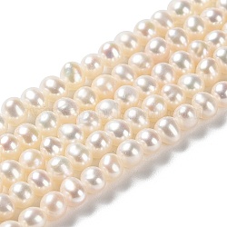 Fili di perle di perle d'acqua dolce coltivate naturali, patata, grado 3a++, papayawhip, 4~5x3.8~4.2mm, Foro: 0.5 mm, circa 100pcs/filo, 15.43 pollice (39.2 cm)