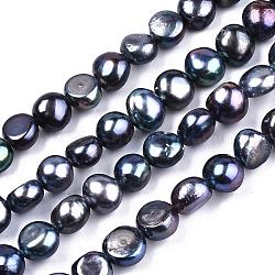 Hebras de perlas de agua dulce cultivadas naturales, teñido, dos lados pulidos, azul de Prusia, 6~8x4~6mm, agujero: 0.8 mm, aproximamente 52~60 pcs / cadena, 16.1 pulgada