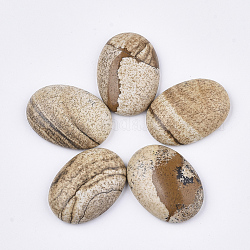 Cabochons en jaspe avec motif naturel, ovale, 24~26x17~19x6~7mm