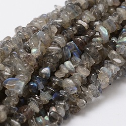 Natural Labradorite Chip Bead Strands, 5~8x5~8mm, Hole: 1mm, about 32 inch