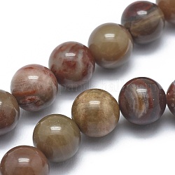 Chapelets de perles en bois pétrifié naturel, ronde, 8mm, Trou: 1.2mm, Environ 47 pcs/chapelet, 14.9 pouce (38 cm)