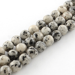 Gefärbte natürliche Sesam Jaspis runde Perlen Stränge, gainsboro, 6 mm, Bohrung: 1 mm, ca. 62 Stk. / Strang, 15.7 Zoll