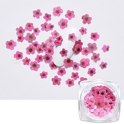 Paper Cabochons, Nail Art Decorations, Flower, Hot Pink, 5~7x5~7x0.1mm, 50pcs/box