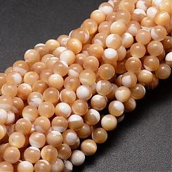Chapelets de perles en coquillage naturel, ronde, saumon clair, 6mm, Trou: 1mm, Environ 68 pcs/chapelet, 15.75 pouce