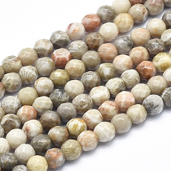 Fossiles naturelle perles de corail brins, facette, ronde, 4mm, Trou: 0.8mm, Environ 103 pcs/chapelet, 15.3 pouces