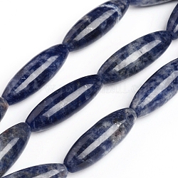 Natur Sodalith Perlen Stränge, Reis, 29.5~29.7x9.4~9.8 mm, Bohrung: 1 mm, ca. 13 Stk. / Strang, 15.16 Zoll (38.5 cm)