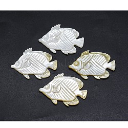 Shell Cabochons, Fisch, 34~38x48~52x2~3 mm