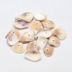 Perles de coquille d'arche naturelles teintes, Perles en coquille de mer, amande blanchie, 15~26x12~22x4~7mm, Trou: 1mm, environ 870 pcs/500 g