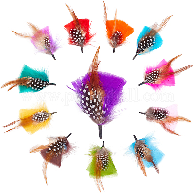 Hat Feathers 9 PCS Assorted Natural Feather Packs Accessories for