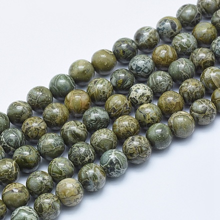 Naturkrokodilhaut Jaspis Perlen Stränge G-E444-26-10mm-1