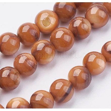 Shell Beads Strands BSHE-P026-39-1