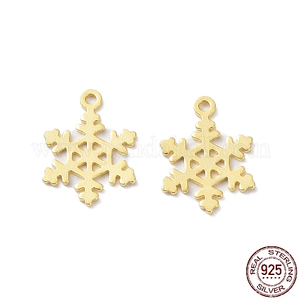 925 Sterling Silver Charms STER-C003-19G-1