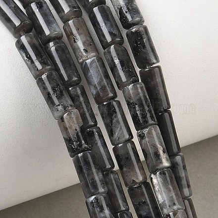 Natürliche Larvikit-Perlenstränge G-B091-A20-01-1