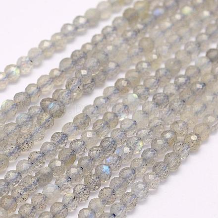 Chapelets de perles en labradorite naturelle  G-F509-03-4mm-1